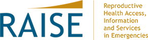 RAISE Logo