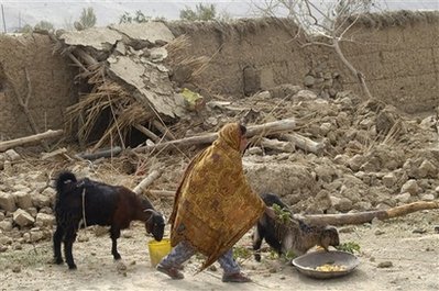 A Pakistani girl feeds goats in front of her damaged house following ...