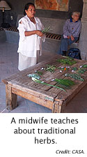 A midwife teaches about traditional herbs.