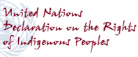 Declaration on the Rights of Indigenous Peoples
