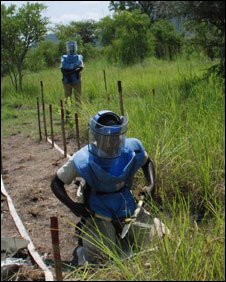 Mine-clearing workers in the field