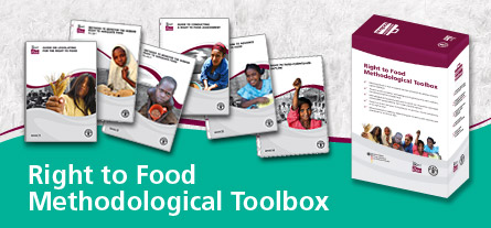 METHODOLOGICAL TOOLBOX ON THE RIGHT TO FOOD