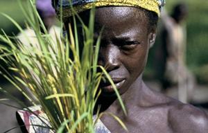 Woman farmer in Senegal