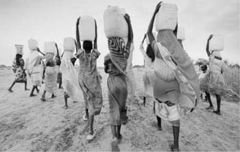 Women collecting water in Sudan.