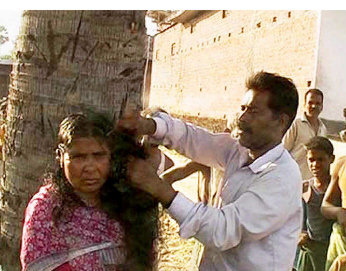 Public act of humiliation as woman is tied to tree and hair is shaved.