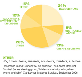 Pie-chart-causes-of-maternal-mortality.jpg