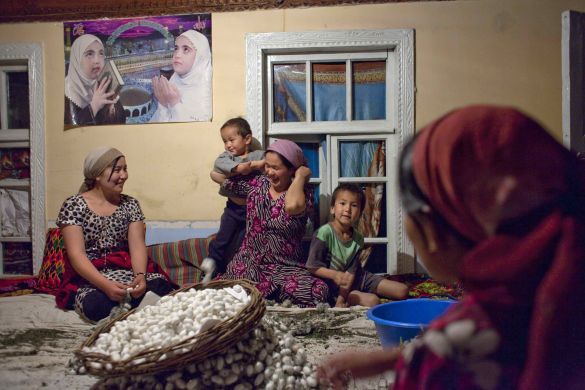 Uzbek women cleaning silk worm cocoons in a village outside Uzbekistans eastern city of Ferghana last June.