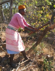 A woman collects firewood near Bennde Mutale, a remote rural village in South Africa's Limpopo province. Climate change is increasing the burden of rural women by forcing them to walk further to find water and other resources like firewood, experts say.