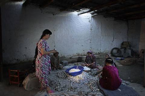Teenage girls cleaning silkworm cocoons in Kokand in this 2009 photo.