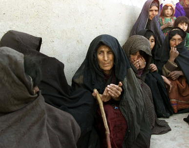 Article - Lemmon Taliban Shelters