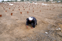 Burial ground for unwanted babies. / Credit:Fahim Siddiqi/IPS
