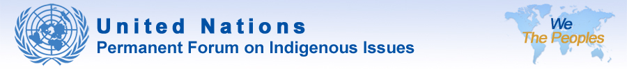 United Nations Permanent Forum on Indigenous Issues 