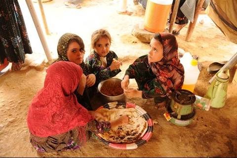Food Assistance to Internally Displaced Yemenis 7