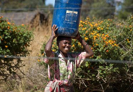 A woman in rural Zambia carries a basket of water on her head.