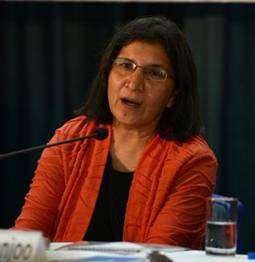 UN Special Rapporteur on Violence against Women Rashida Manjoo, addressing the media in New Delhi on Wednesday. Photo: S. Subramanium