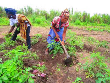 Women working in their vegetable gardens at the Capanda Agroindustrial Pole in Angola. Credit: Mario Osava/IPS