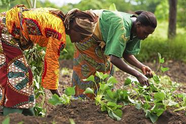 How Women Are Planting Seeds Of Hope 1