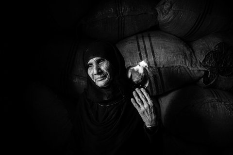 Anbar Jaberi, the mother of Nematollah Jaberi, has waited 23 years for news of her son.