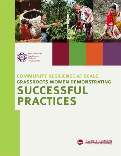Successful Practices cover