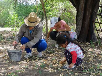 Three generations of rural women harvesting carob pods in the town of San Gernimo in the northwestern Argentine province of Santiago del Estero. Rural women in Latin America produce half of the regions food. Credit: Fabiana Frayssinet/IPS