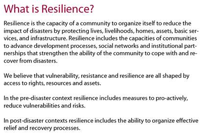 What is Resilience